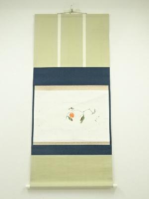 須磨夏郷筆　柿の図　扇面　肉筆紙本掛軸（保護箱）